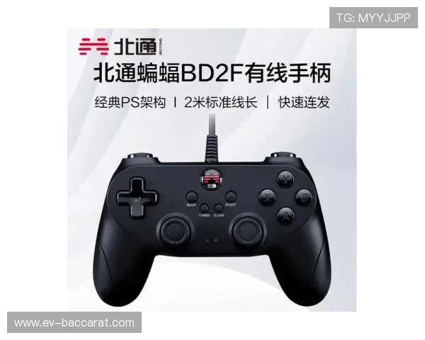 不同类型游戏手柄推荐全面指南助你挑选最适合的游戏设备 不同类型游戏手柄推荐全面指南助你挑选最适合的游戏设备